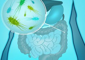 La Microbiota, Nuestro Segundo Cerebro