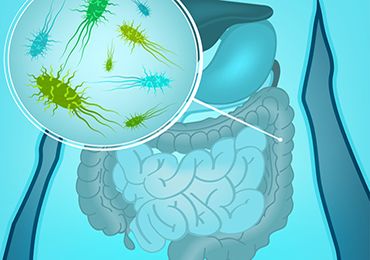 La Microbiota, Nuestro Segundo Cerebro