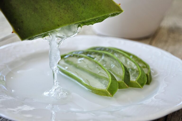 Los Beneficios del Aloe Vera para la Salud Digestiva